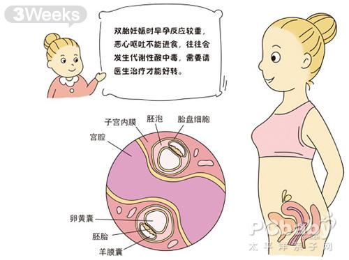 同性伴侣的南宁借卵试管婴儿须知：男女生育选择大不同