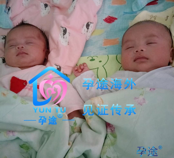 哪些人不能做借卵试管婴儿？哪些人可以做借卵试管婴儿