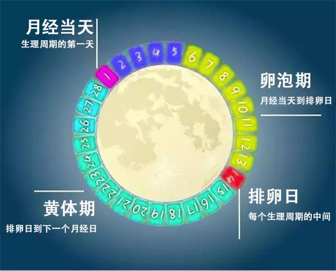 广西南宁产下西部首例基因芯片借卵试管婴儿