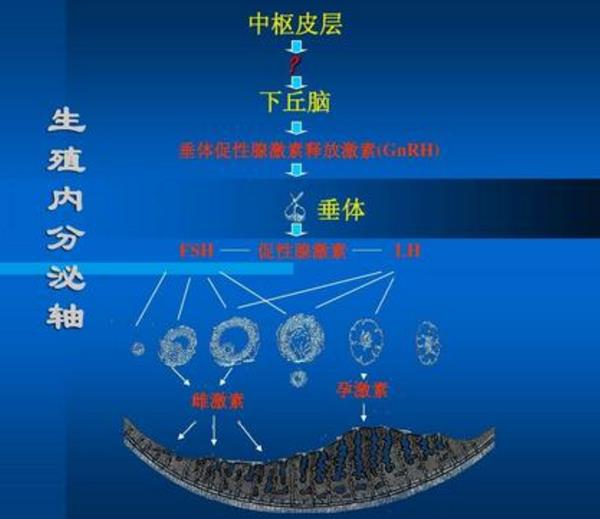 过期邵逸夫医院不孕不育中心征集100对夫妇免费供卵试管婴儿（转载）。