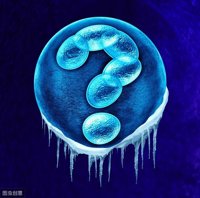 如果你想做赠卵试管婴儿怀上双胞胎，有4点需要知道