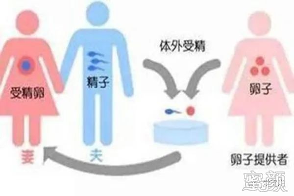 赠卵试管婴儿胚胎移植后胃痛是什么问题？