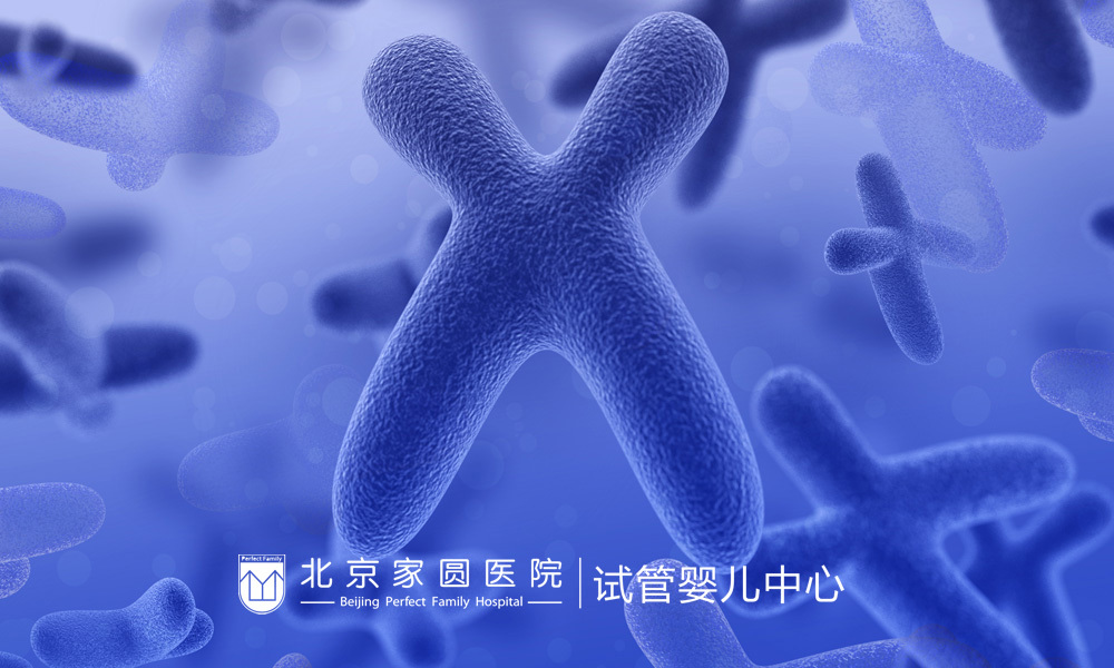 广西南宁供卵试管婴儿移植成功后如何保存胚胎？