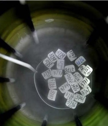 有宫颈疾病可以做供卵试管代怀供卵吗？