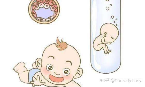 上海第三代借卵做试管哪里代生费用多少钱