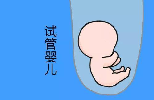 做借卵第三代试管助孕取卵视频