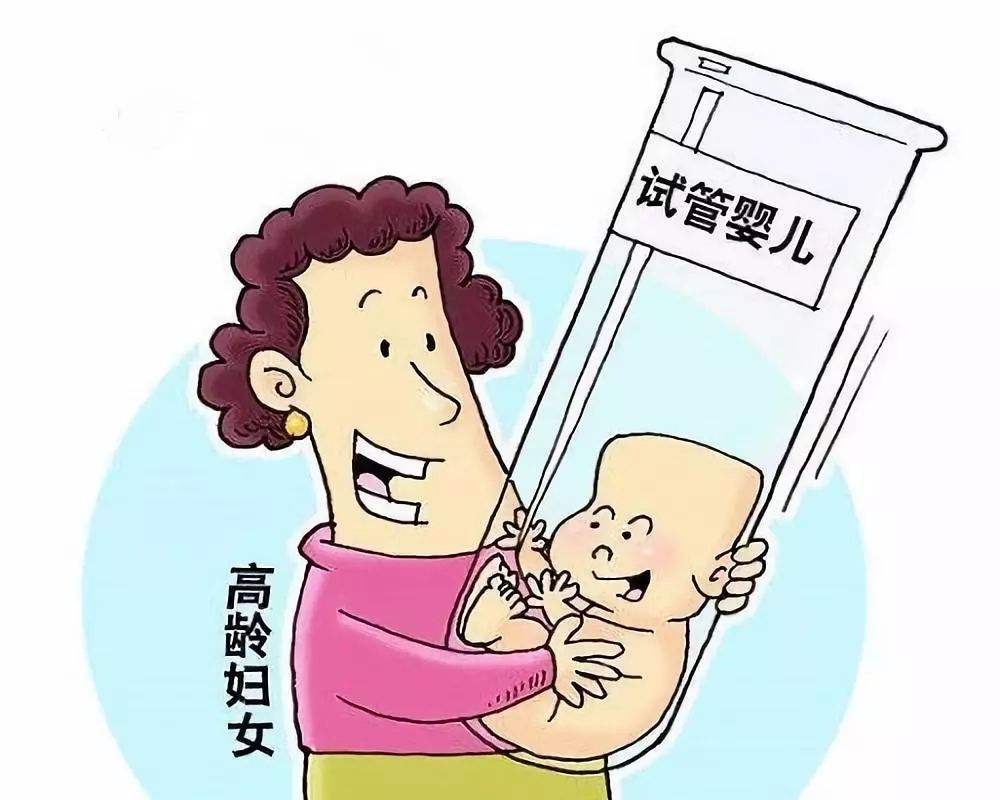 肥胖供卵试管婴儿很难成功