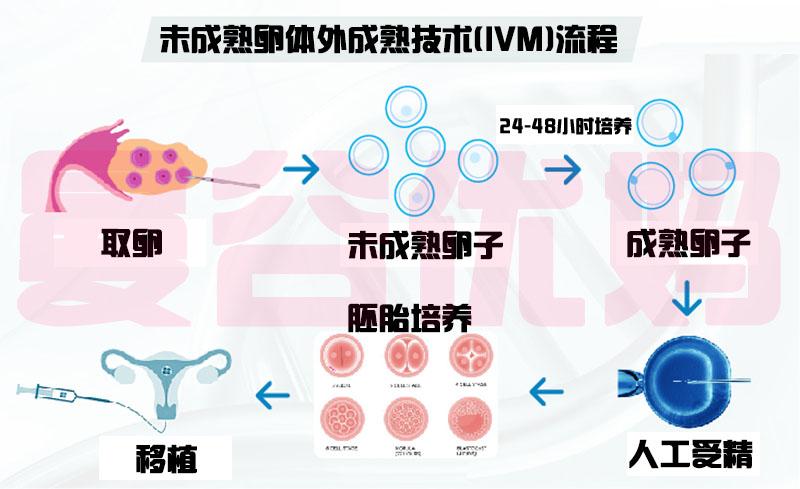 做供卵试管婴儿最佳时间