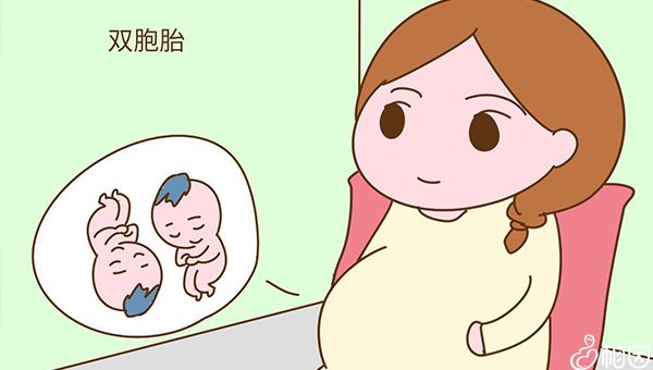 供卵做试管婴儿的健康率
