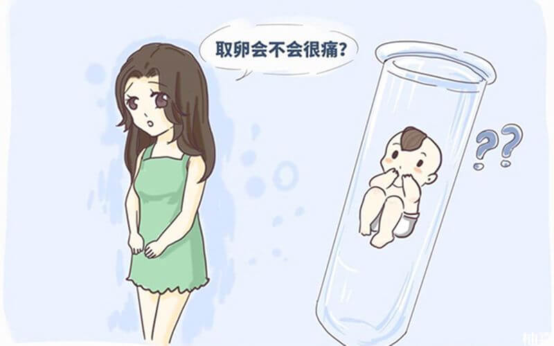 广西能做借卵试管婴儿吗