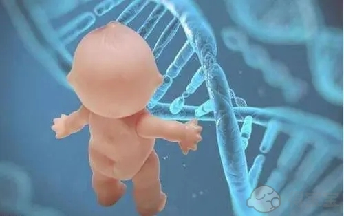 广西南宁三胎做供卵试管医院给做吗