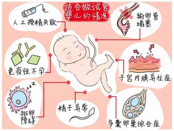 北医三院借卵试管婴儿建档流程