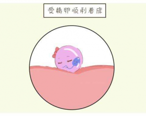 广西第二代试管优孕行.在哪里
