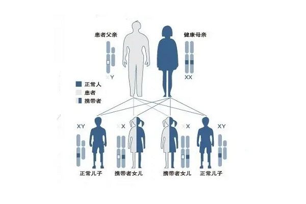 自然人包括试管婴儿吗