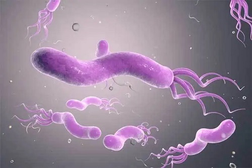 子宫内膜异位试管移植方案