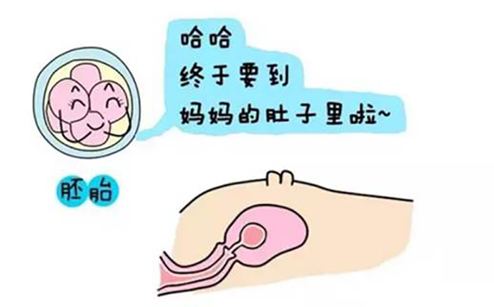 第帮别人代生孩子犯法吗生男孩的价格是多少？8万费用够不够？