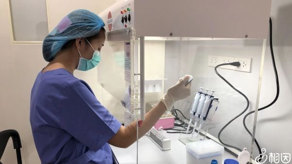 试管降调后来月经正常吗