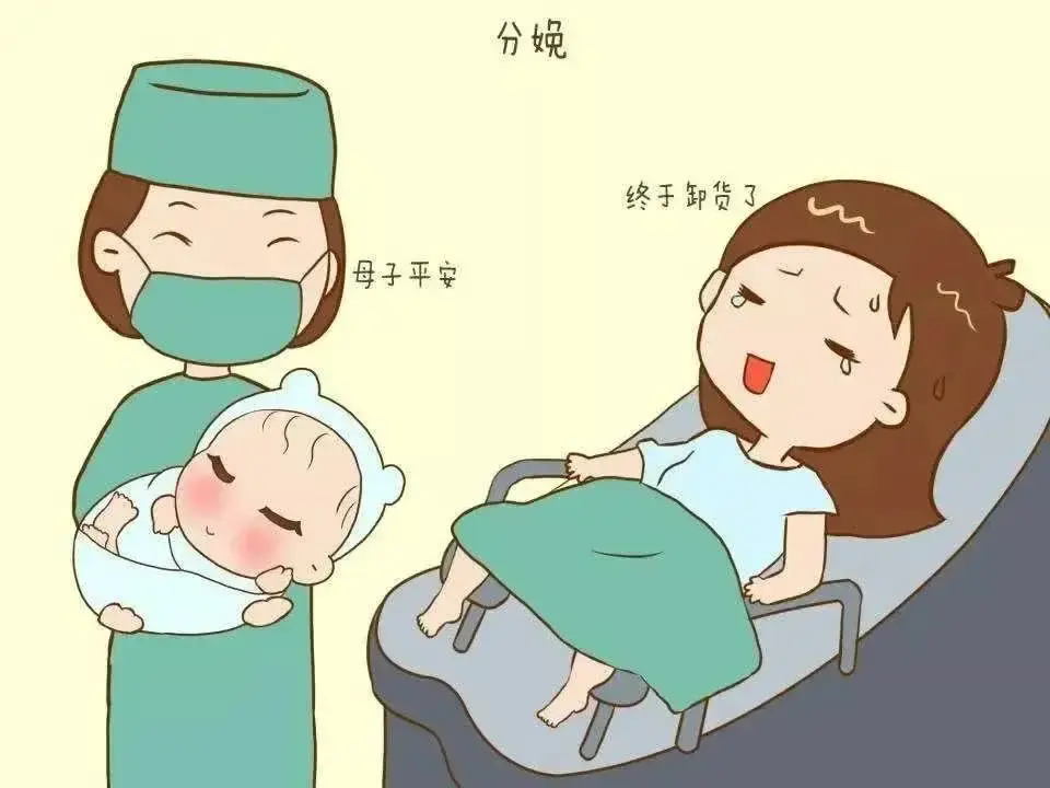 第三代代怀包生男孩术前检查到移植需要陪人吗