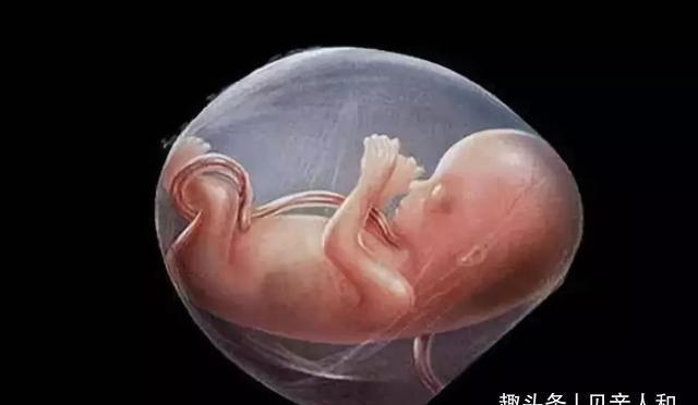 广西南宁试管包生男孩条件是什么