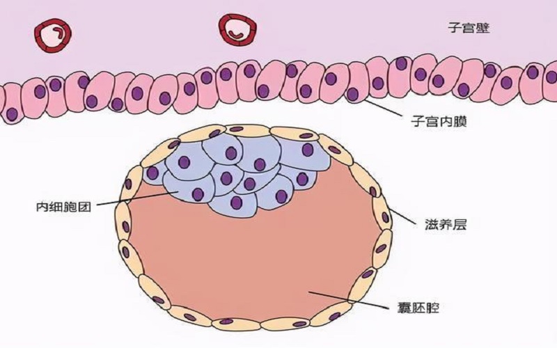 哪里的三代国内试管代怀合法私立医院可以包生男孩（你知道吗？）