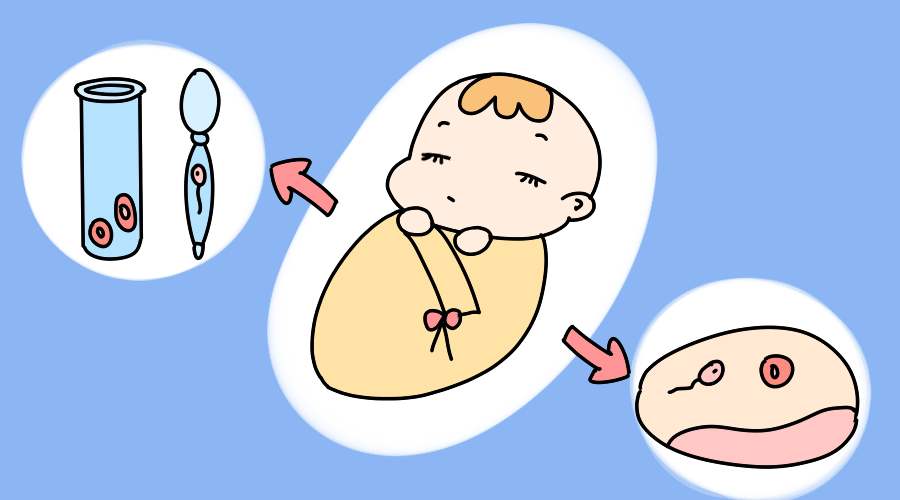用别人的卵子代生成功率条件有哪些