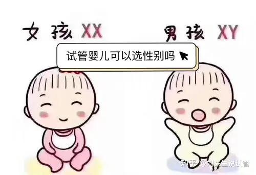 南宁冻卵需要多少钱（广西助孕试管代怀能给多少费用胚泡移植的好处有哪些？）