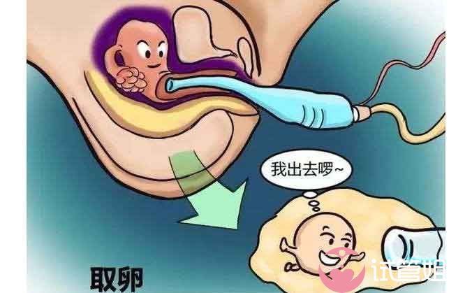 2024广西哪个私立医院国内代生宝宝