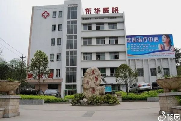 2024年国家免费做第三代供卵试管代怀零风险是真的吗（免费试管去哪做？）