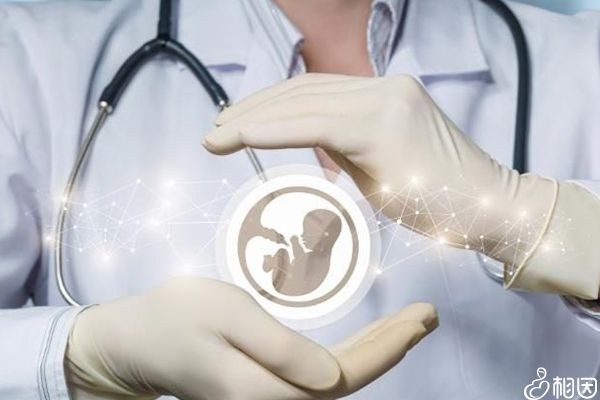 备孕妈妈注意啦!多吃这四类食物易生男宝宝