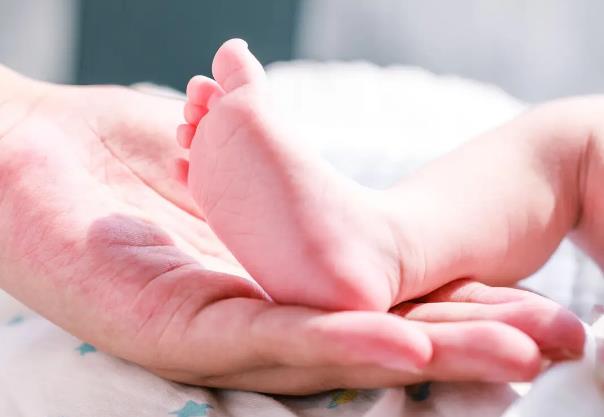 申请精子库供精的证件+如何申请人类精子库精子的条件
